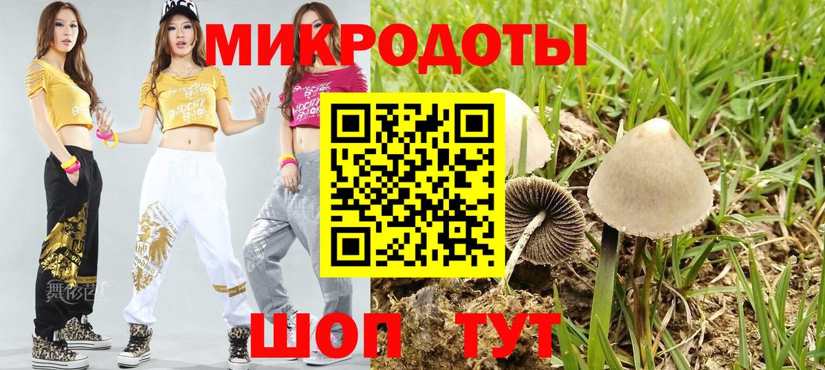 Псилоцибиновые грибы мухоморы Сухой Лог
