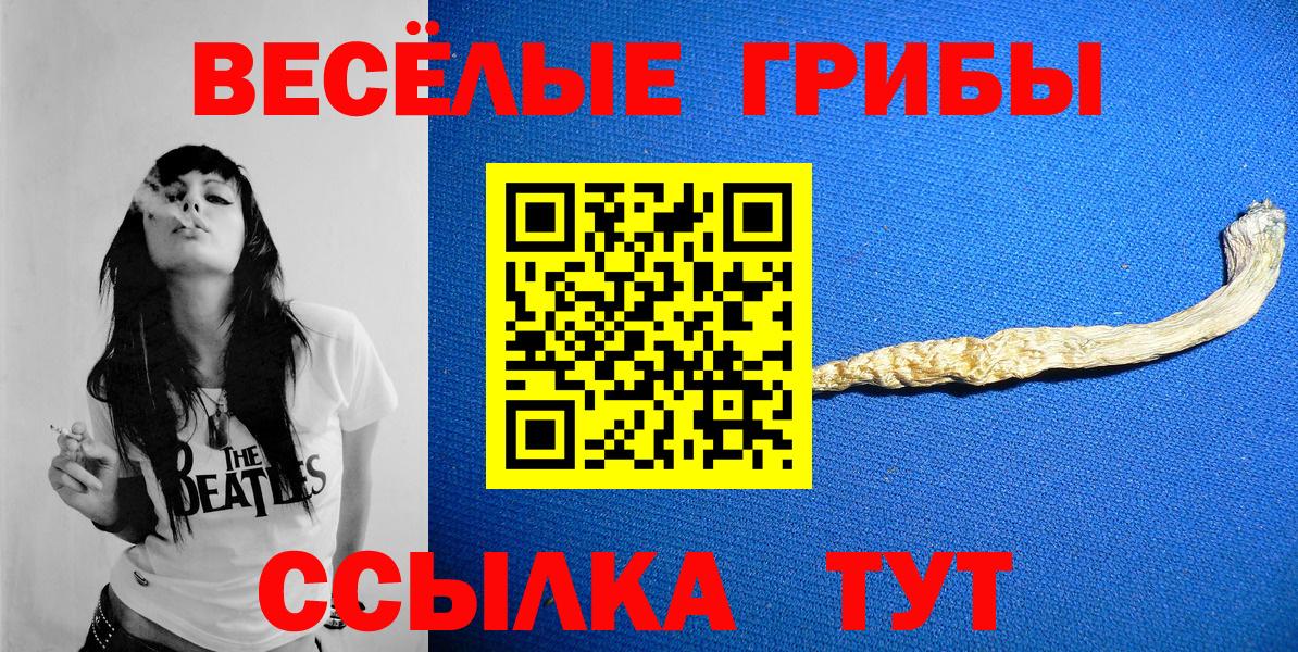 Псилоцибиновые грибы Psilocybine cubensis  Вход с VPN  Сухой Лог 
